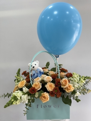 Erkek Bebek Çantada Aranjman